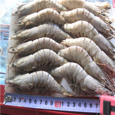 北京鸿嘉群兴水产品经营部 越南进口草虾，酒店级寿司食材的新鲜之选