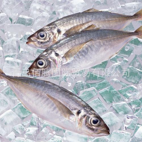厂家直供 冷冻水产品海鲜批发的优选之路