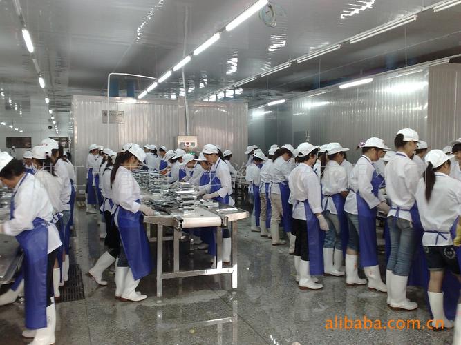 厂家直销冷冻加工水产品 物美价廉，新鲜直达